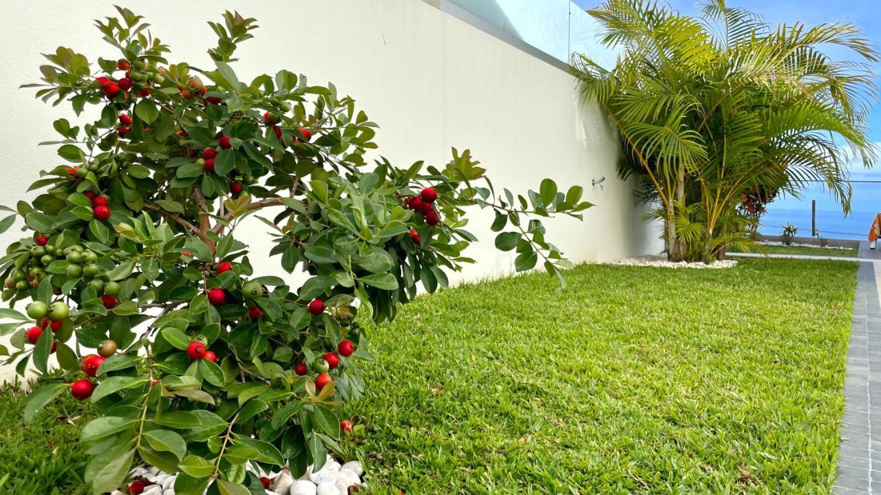Holiday Apartment Sunset Ocean Ribeira Brava Luaran gambar